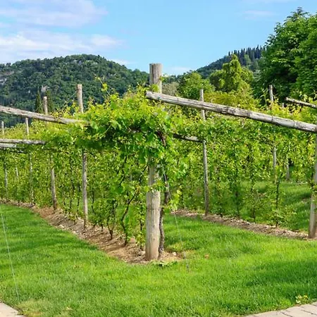 Hotel Parc Germano & 4*